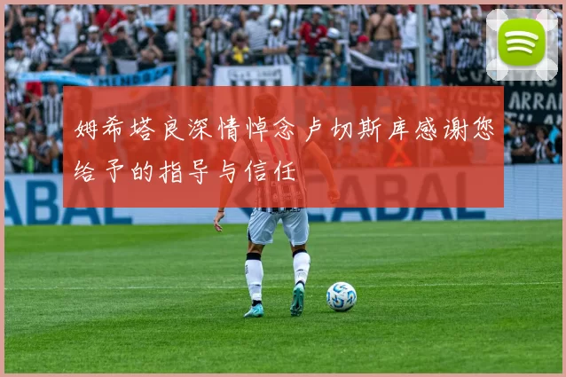 姆希塔良深情悼念卢切斯库感谢您给予的指导与信任