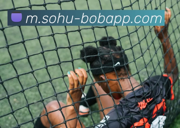 BOB体育全站App